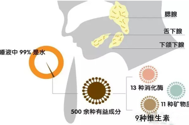 中国道长长寿的秘诀：日咽唾液三百口，一生活到九十九-178学堂